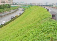 Geocell is applied on highway slope protection